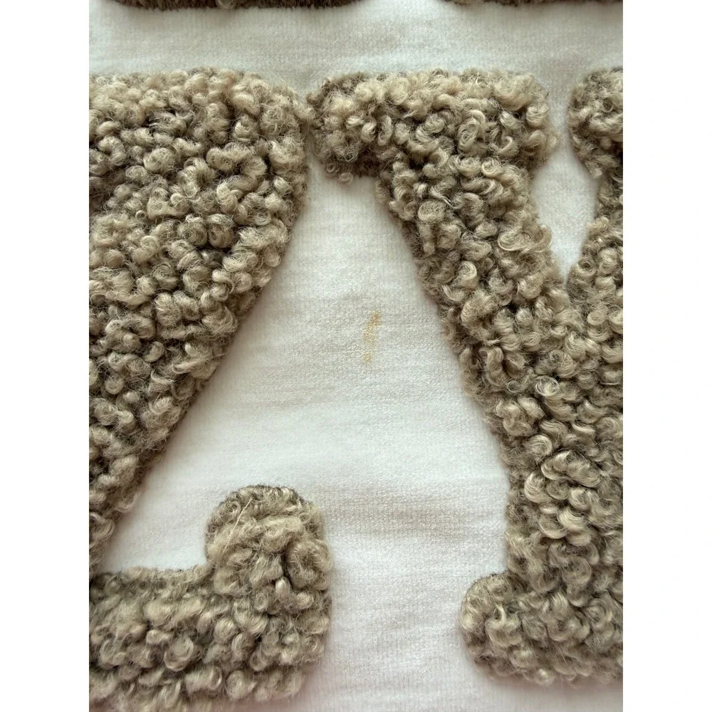 Pottery Barn STAY COZY Teddy Faux Fur Applique Pillow Cover 20
